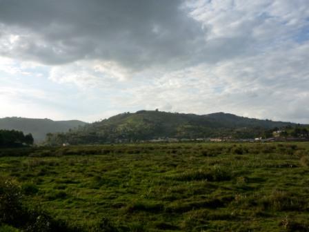 p1030259.jpg