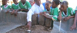 Sustainable Organic Integrated Livelihoods (SOIL), Haiti