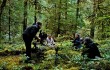 Filming in Andrews Experimental Forest, United States