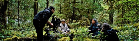 Filming in Andrews Experimental Forest, United States